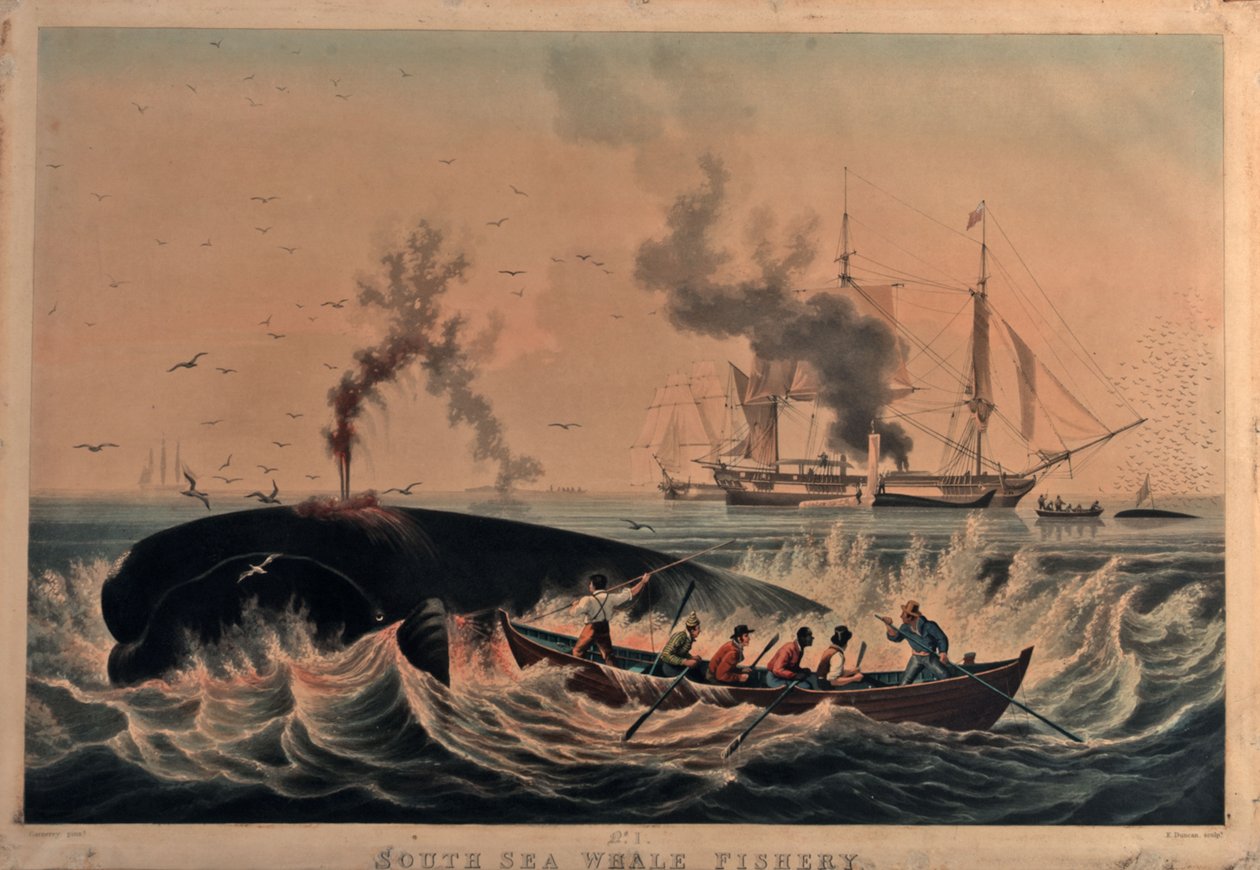 South Sea whale fishery by Ambroise Louis (after) Garneray