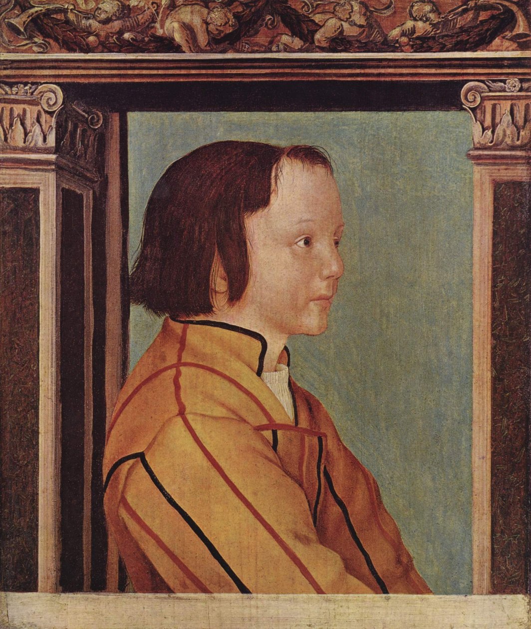 Boy with Brown Hair by Ambrosius Holbein
