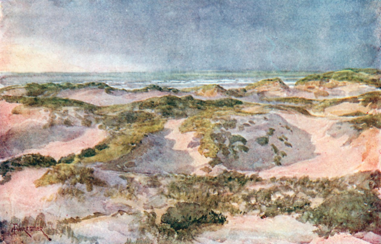 A Stormy Evening: The Dunes by Amedee (after) Forestier
