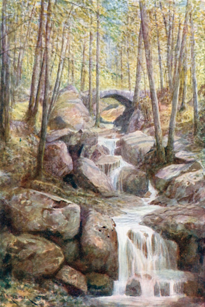 Pont du Prophete, Promenade Meyerbeer, Spa Woods by Amedee (after) Forestier