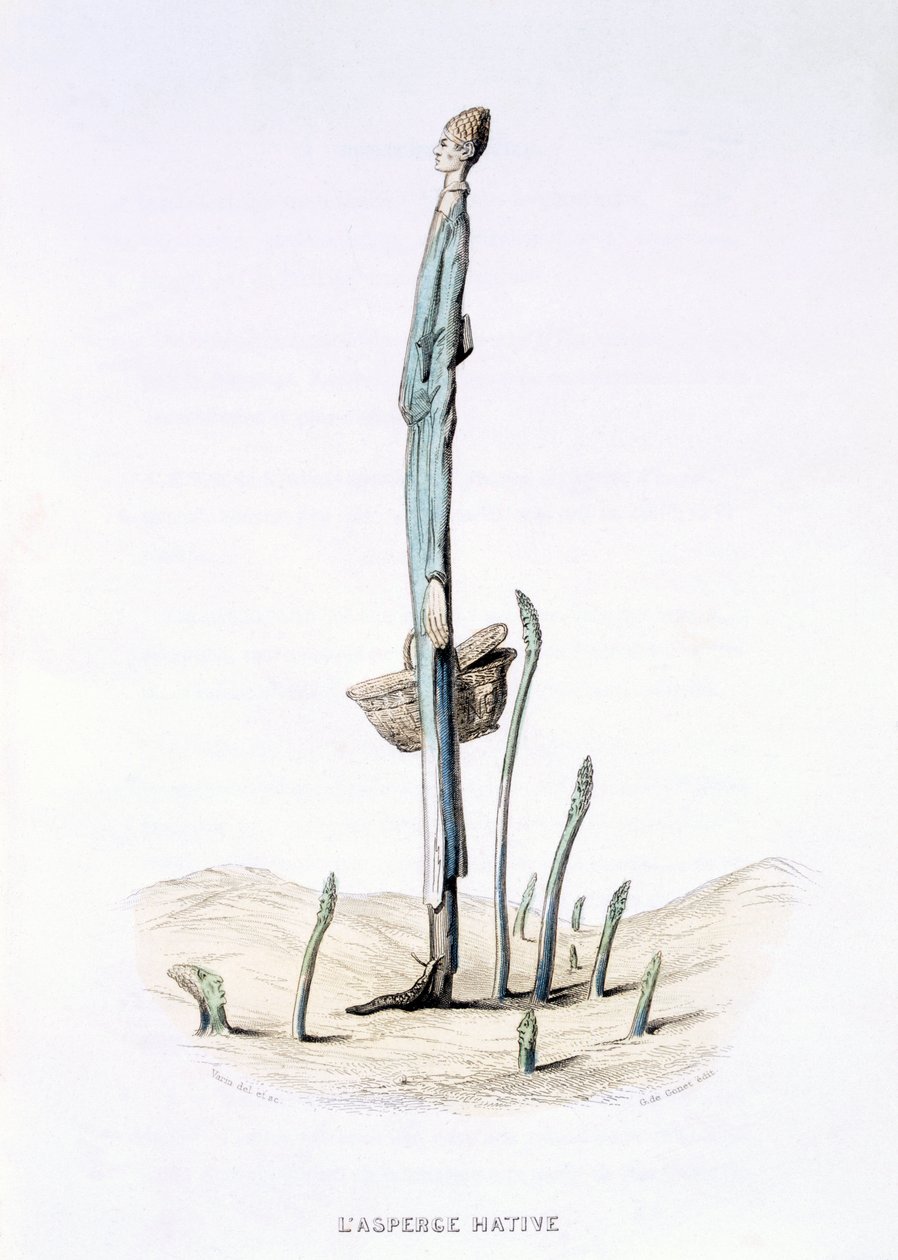 The Hasty Asparagus, from 