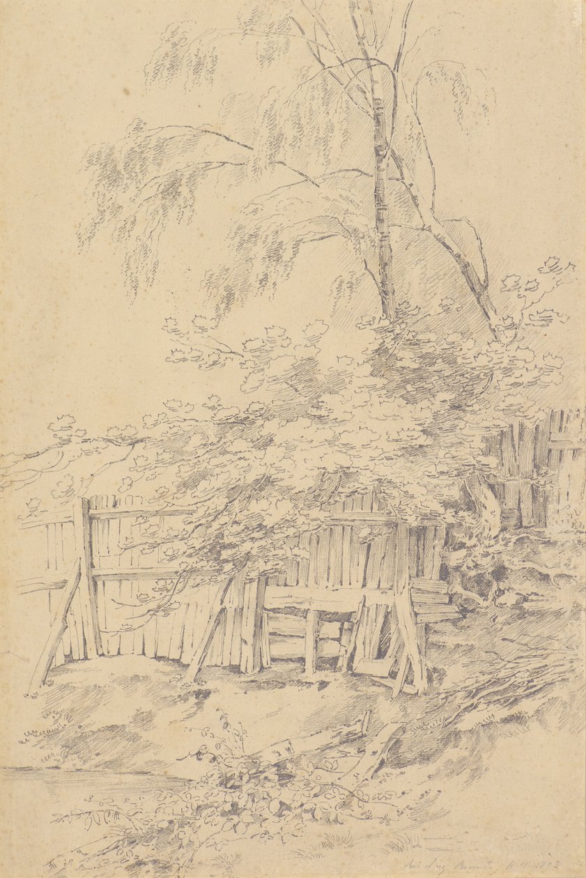 Bromley Hill by Amelia Long