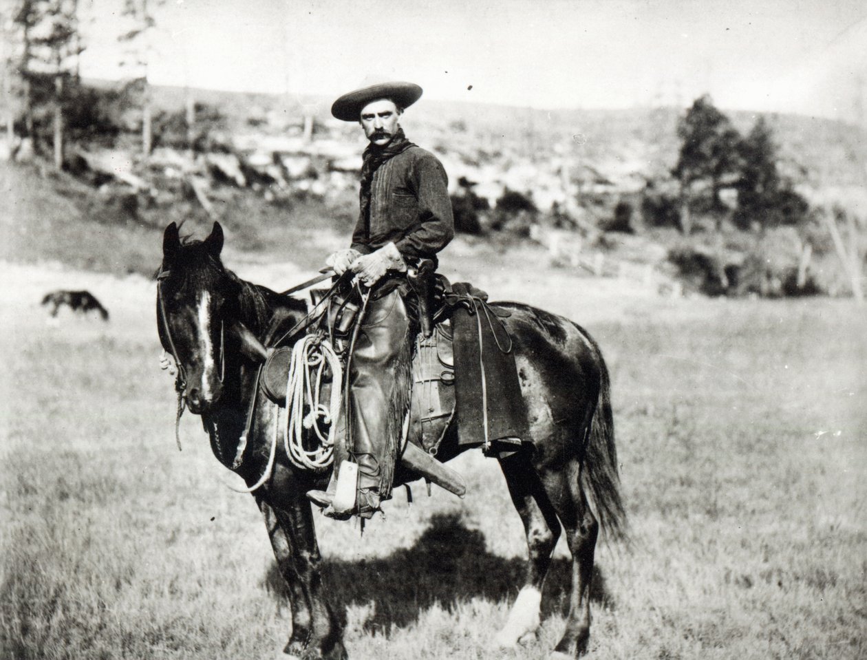 Cowboy riding a horse in Montana, USA, c. 1880 by American Photographer