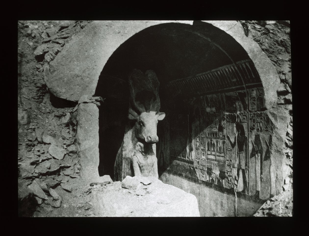 Hathor cow in an 18th dynasty shrine, Deir El-Bahri by American Photographer