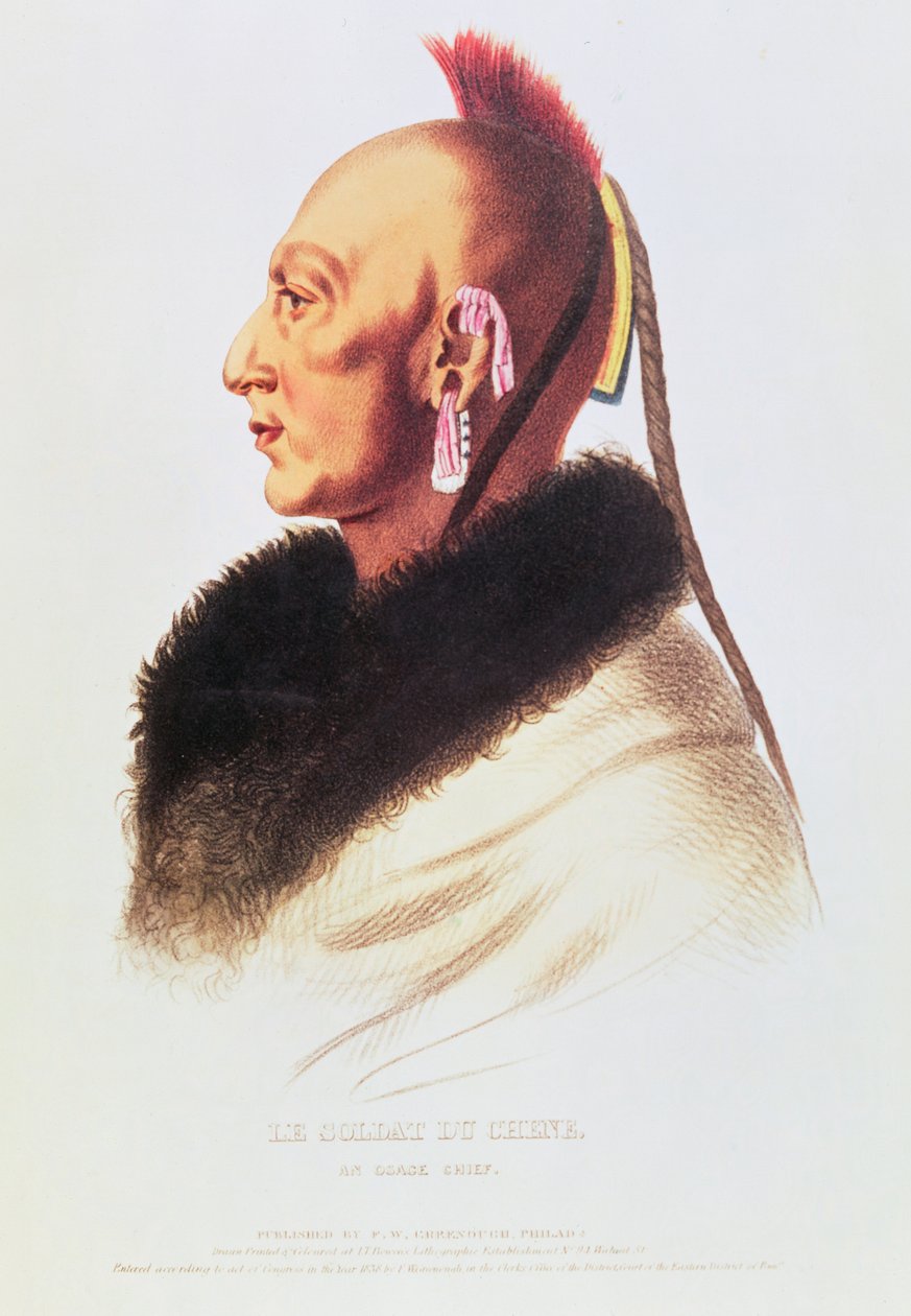 An Osage Chief by American School