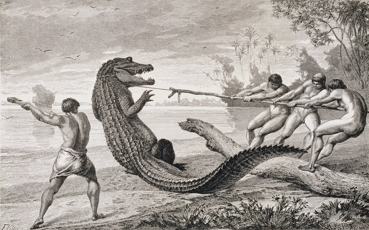 Catching an alligator with lasso, from 