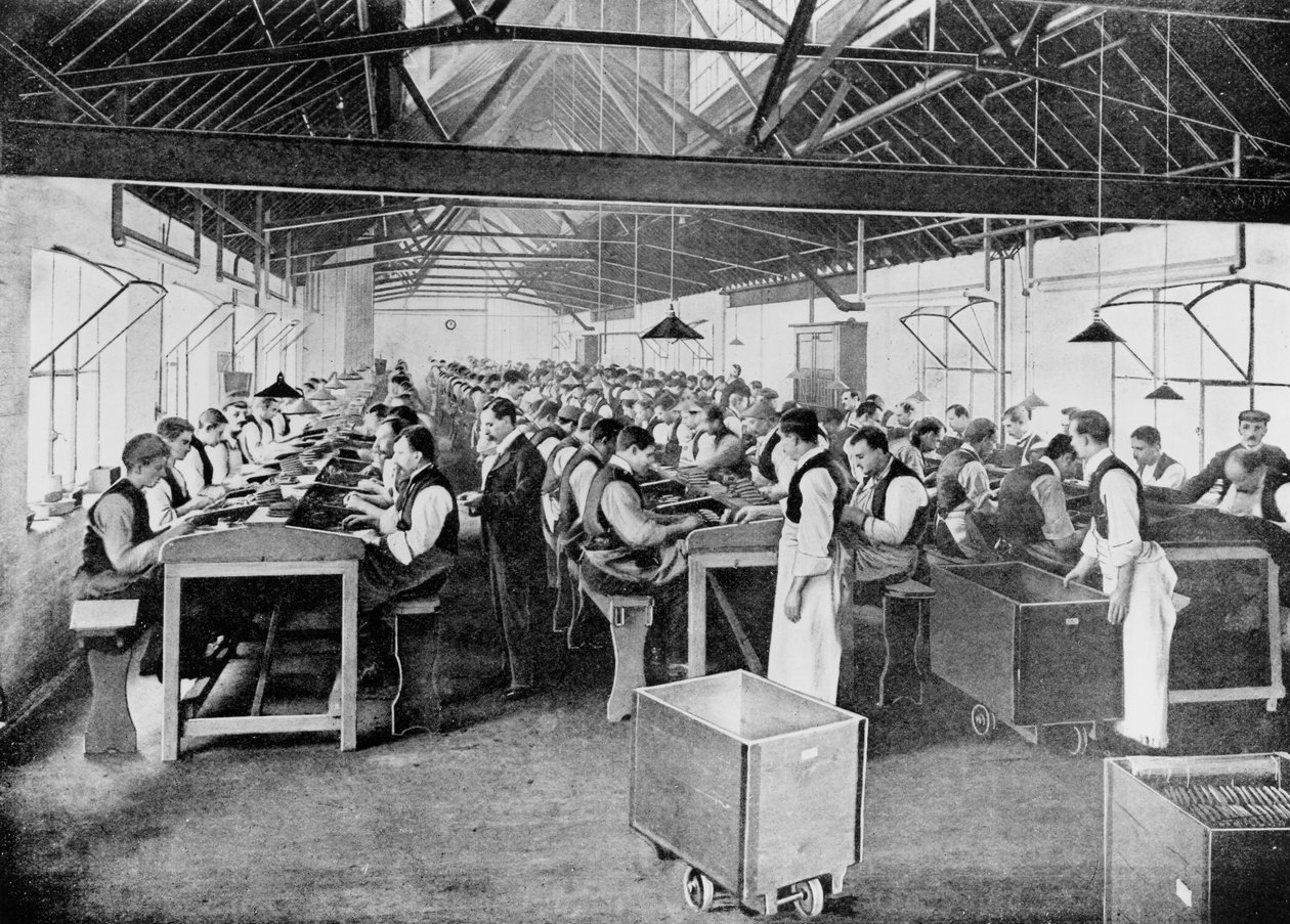 One of the Cigar Manufacturing Departments at Messrs Salmon and Gluckstein