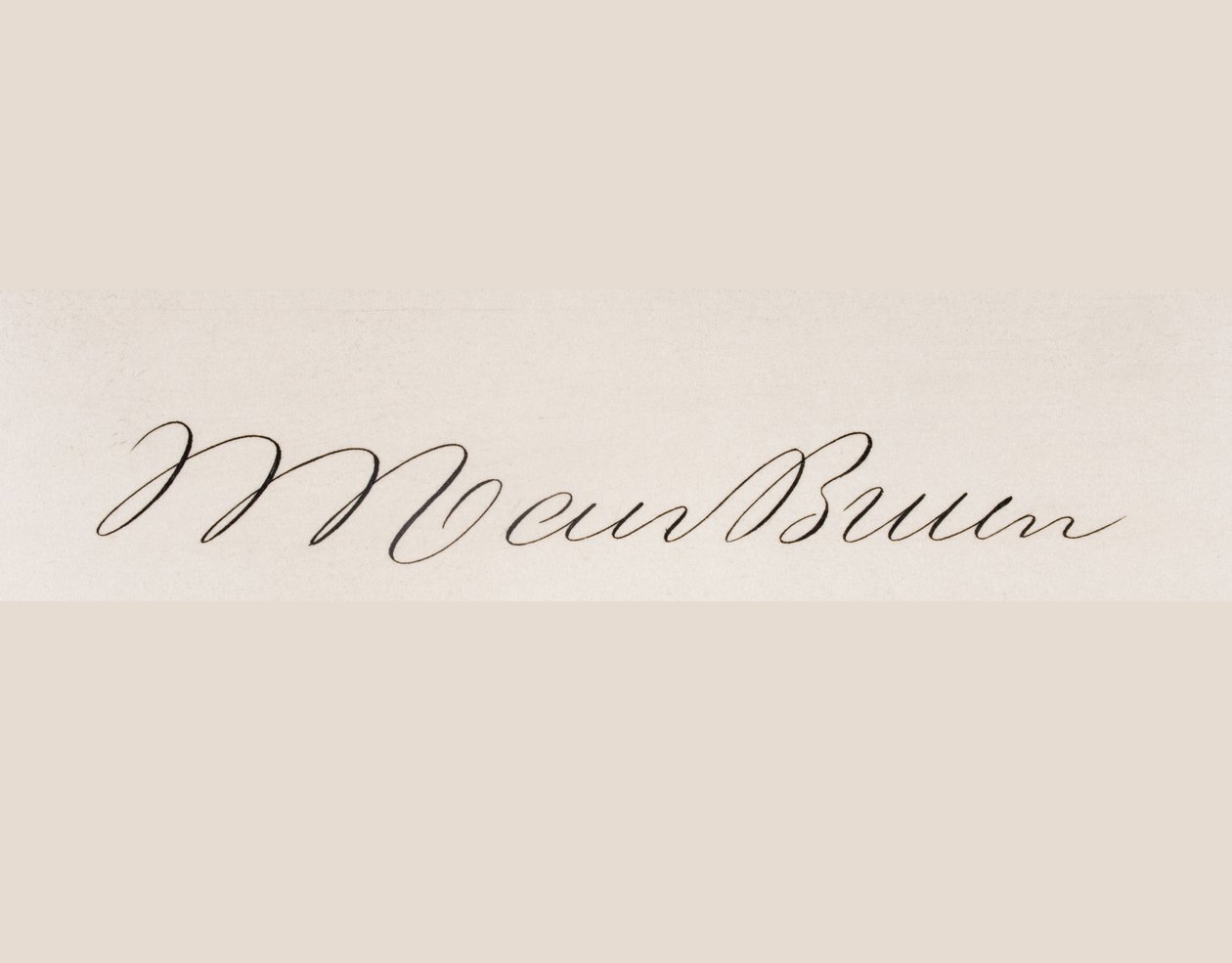 Signature of Martin van Buren by American School