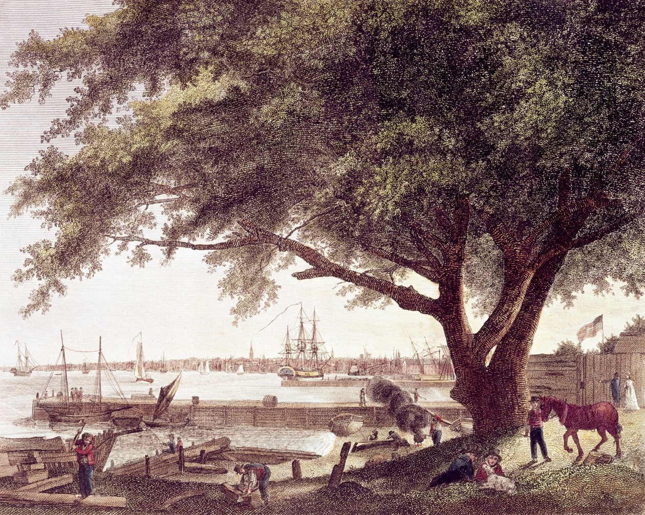 The City and Port of Philadelphia, on the River Delaware, from Kensington, 1800 by American School