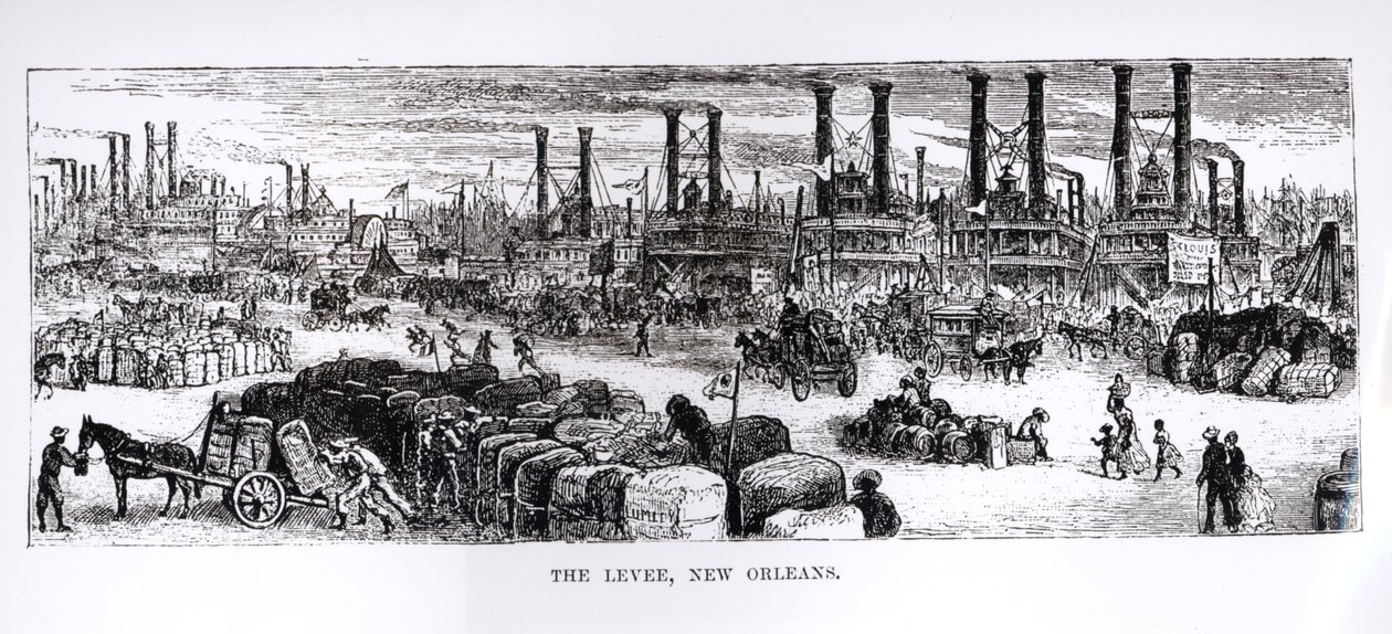 The Levee, New Orleans by American School