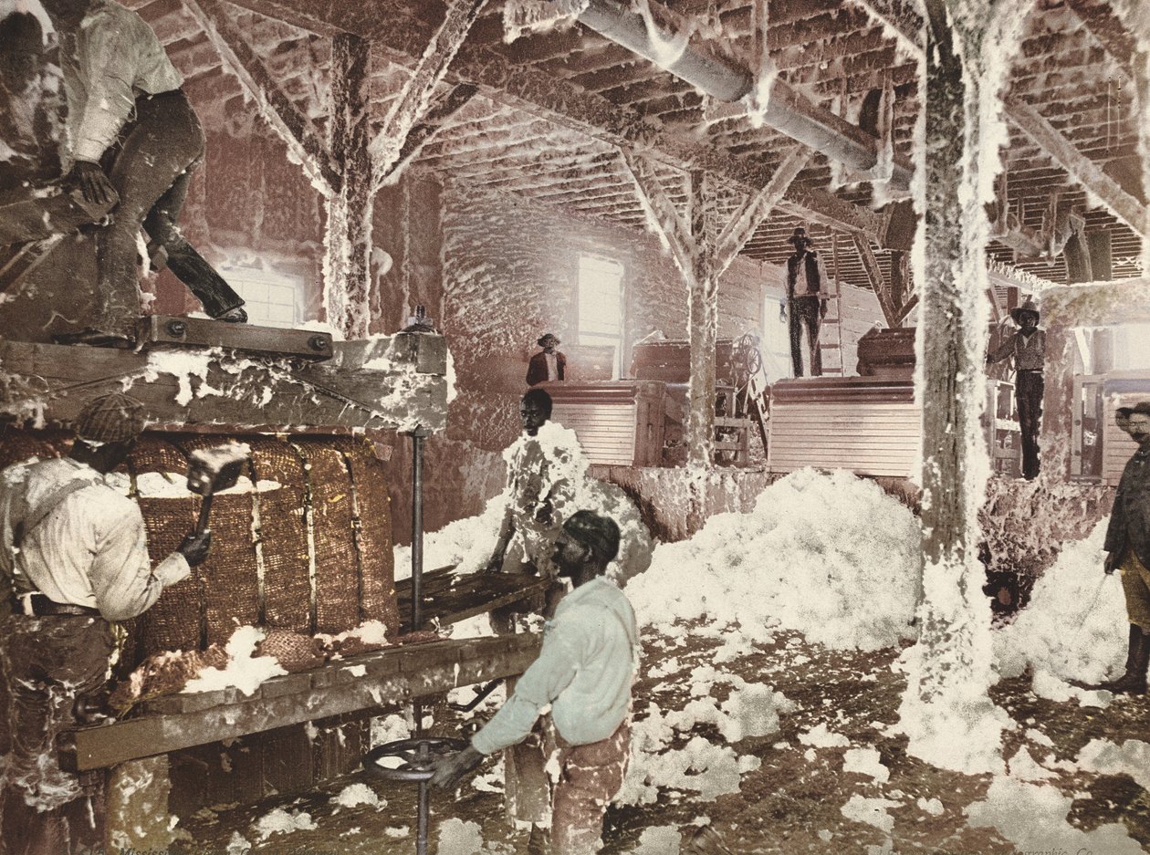 Mississippi Cotton Gin at Dahomey by American 19th Century, Detroit Photographic Company