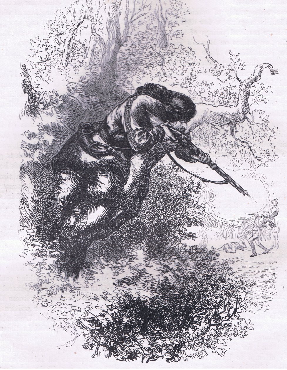 American marksman up a tree, illustration from Cassells History of the United States by American English school