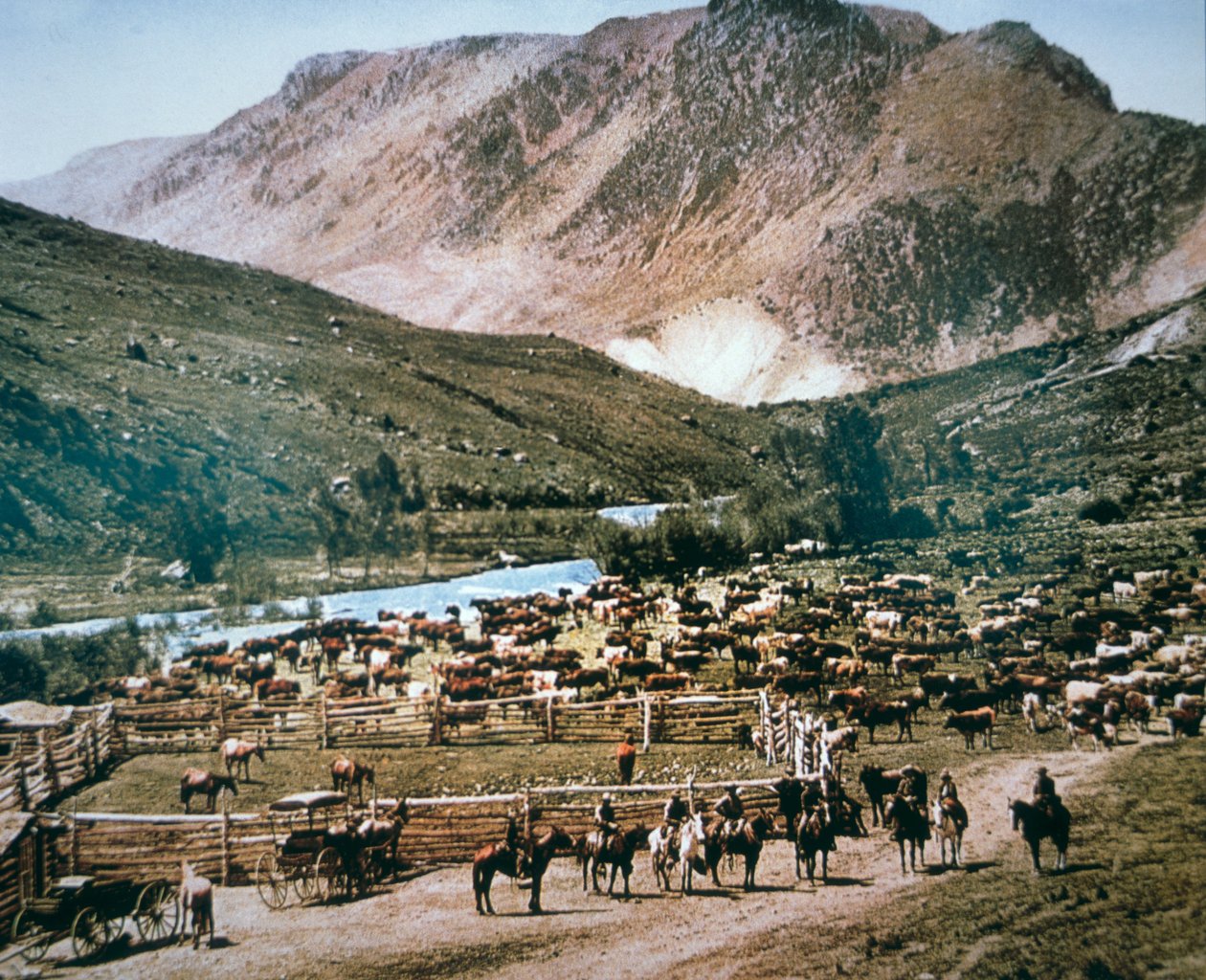 Cattle Ranch, Colorado by American Photographer