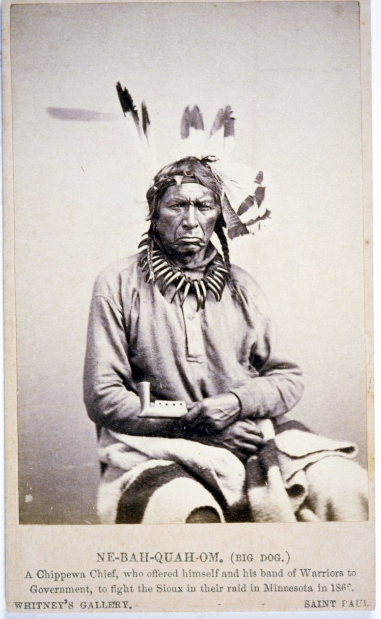 NE-BAH-QUAH-OM, Big Dog, Chippewa Chief, offered to fight Sioux in Minnesota by American Photographer