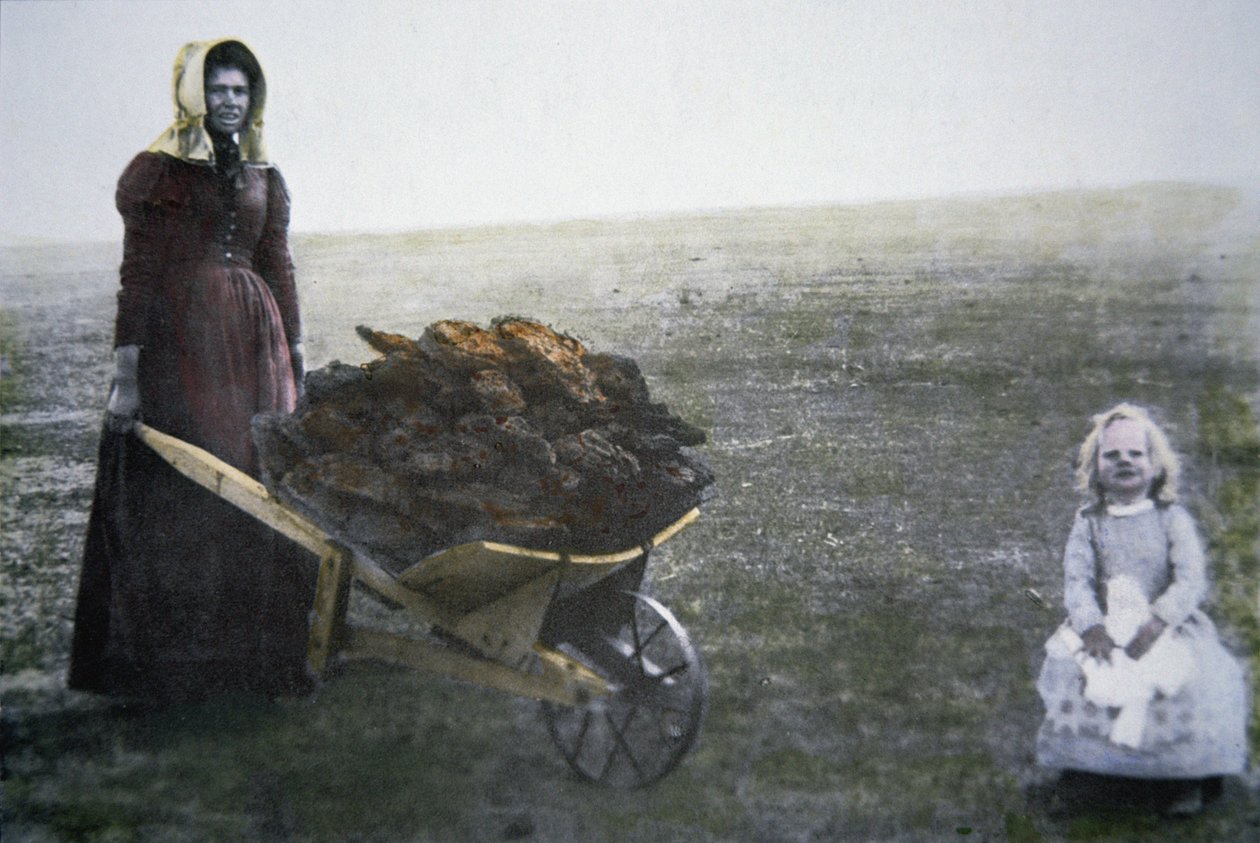 Pioneer woman collecting cattle dung, Kansas, c.1880 by American Photographer