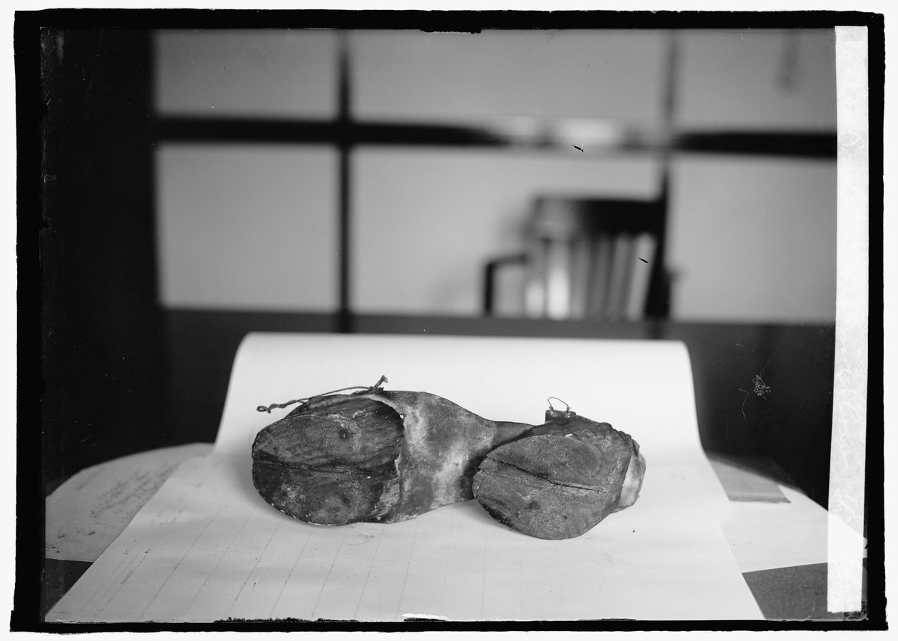 Prohibition Unit (Cow Shoes), 28 June 1924 by American Photographer