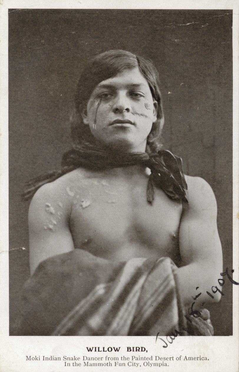 Willow Bird - Moki Indian Snake Dancer from the Painted Desert of America by American Photographer