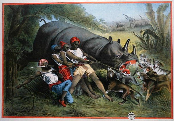 A Rhinoceros Hunt by American School