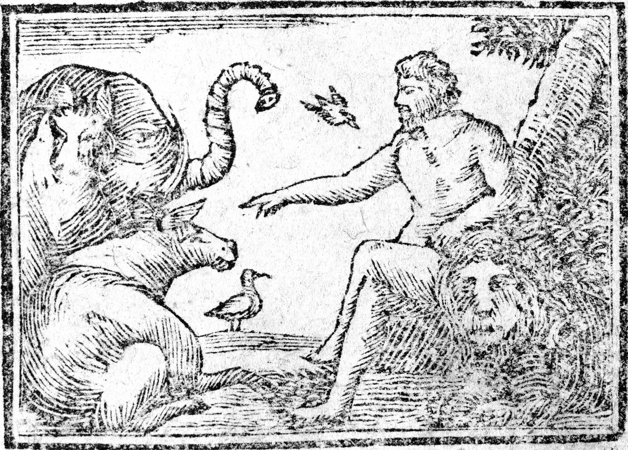 Adam naming the animals, illustration from An Abridgement of the History of the Holy Bible, published 1794 by American School