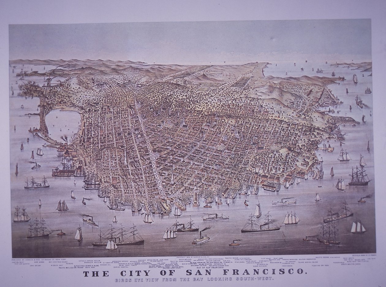 Aerial view of San Francisco, California, USA by American School