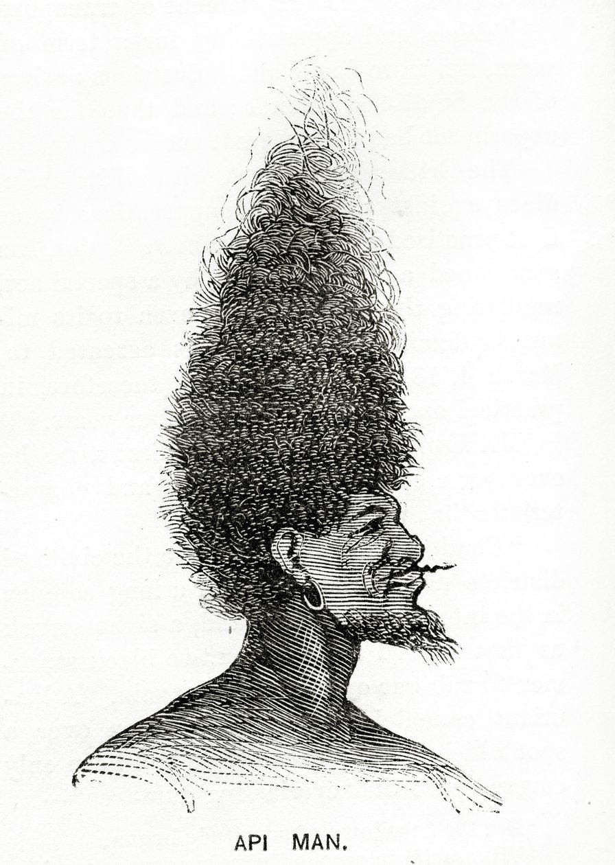 Api Man, Illustration from Appletons Journal, May 4, 1872 by American School