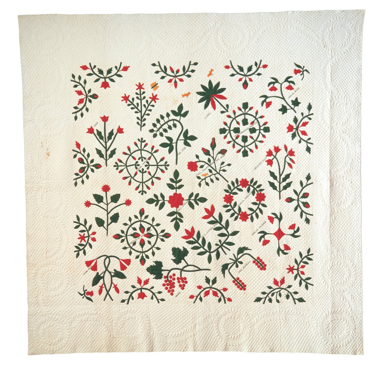 Applique and Embroidered Garden Botanical Album Quilt by American School