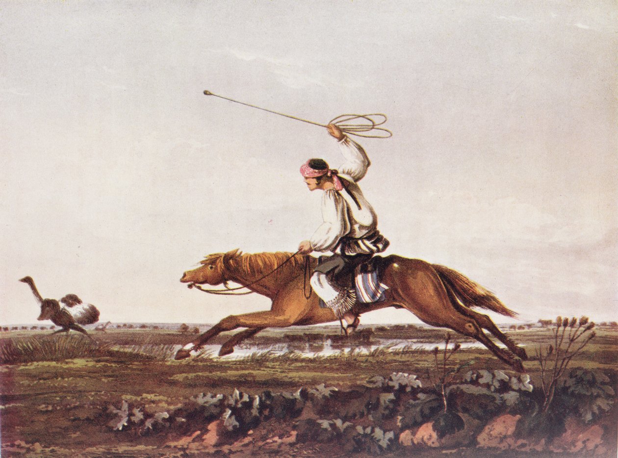 Balling Ostriches, from 