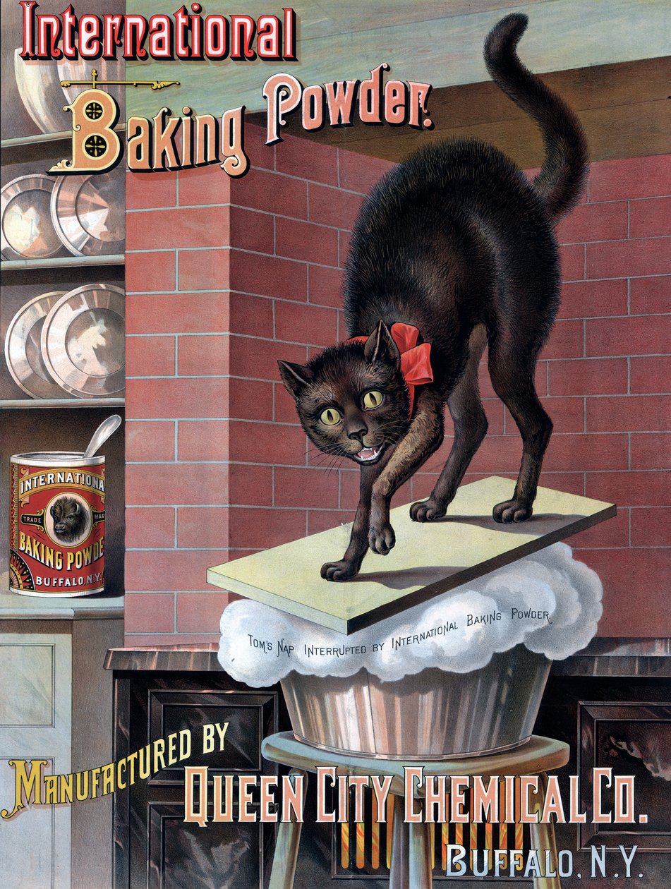 Black Cat Awakened by Rising Bread Dough, c.1885 by American School