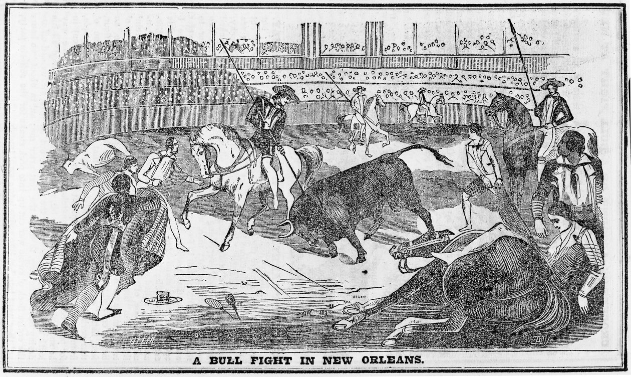 Bull fight in New Orleans, from Davy Crocketts Almanack, Boston, 1849 by American School