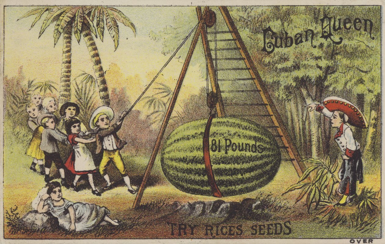 Children Raising an Enormous Watermelon by American School