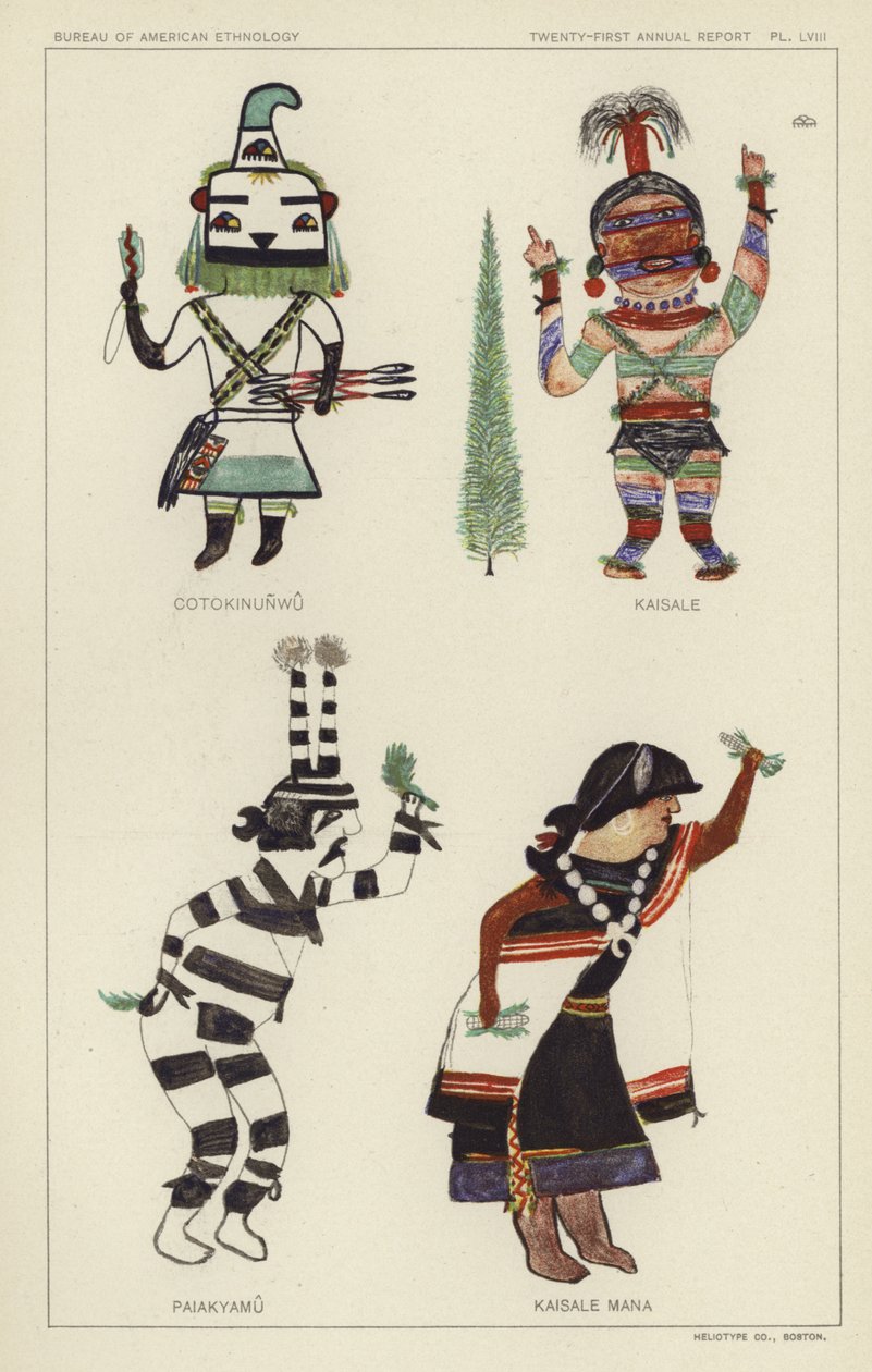 Cotokinunwu, Kaisale, Paiakyamu, Kaisale Mana by American School