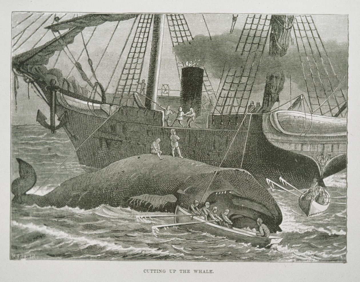 Cutting up the Whale, from The American Whale Fishery by American School