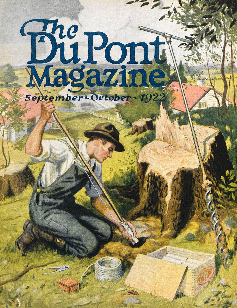 Farmer Planting DuPont Dynamite by American School