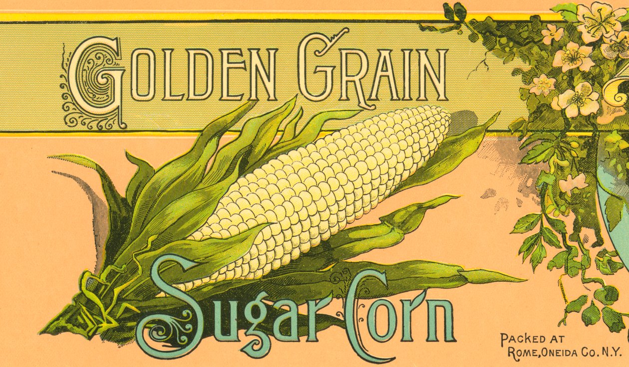 Golden Grain Sugar Corn Product Label, c.1890 by American School