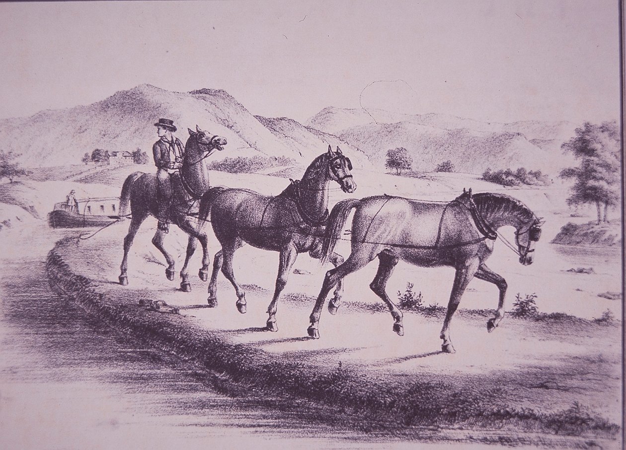 Horses Pulling a Canal Boat on Erie Canal by American School