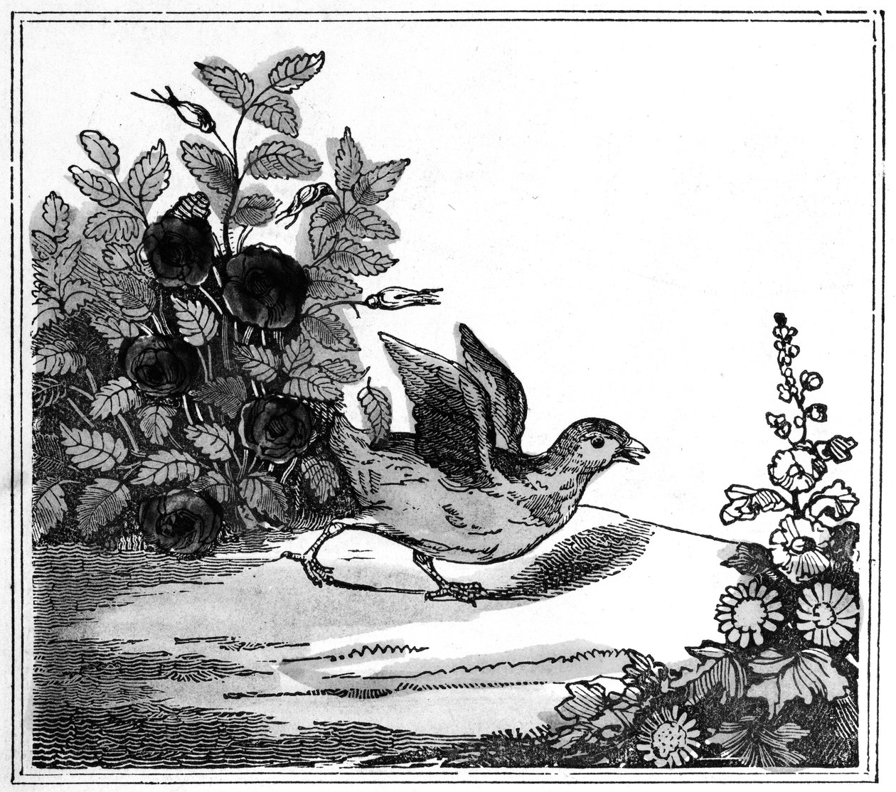 Illustration from the Remarkable Story of Chicken Little, 1840 by American School