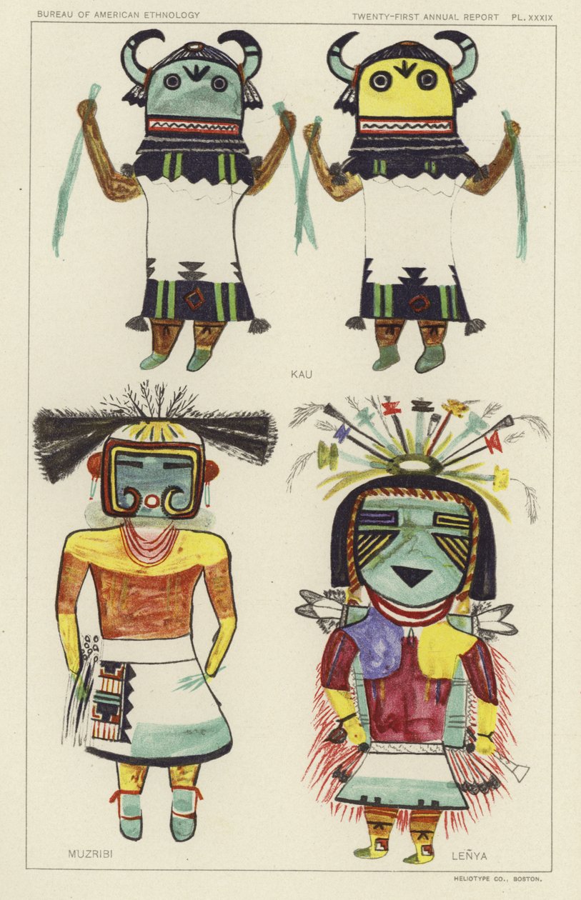 Kau, Muzribi, Lenya by American School
