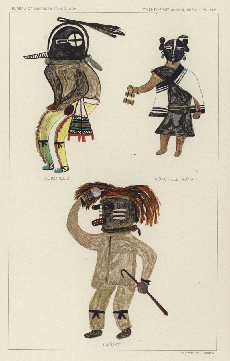 Kokopelli, Kokopelli Mana, Lapukti by American School