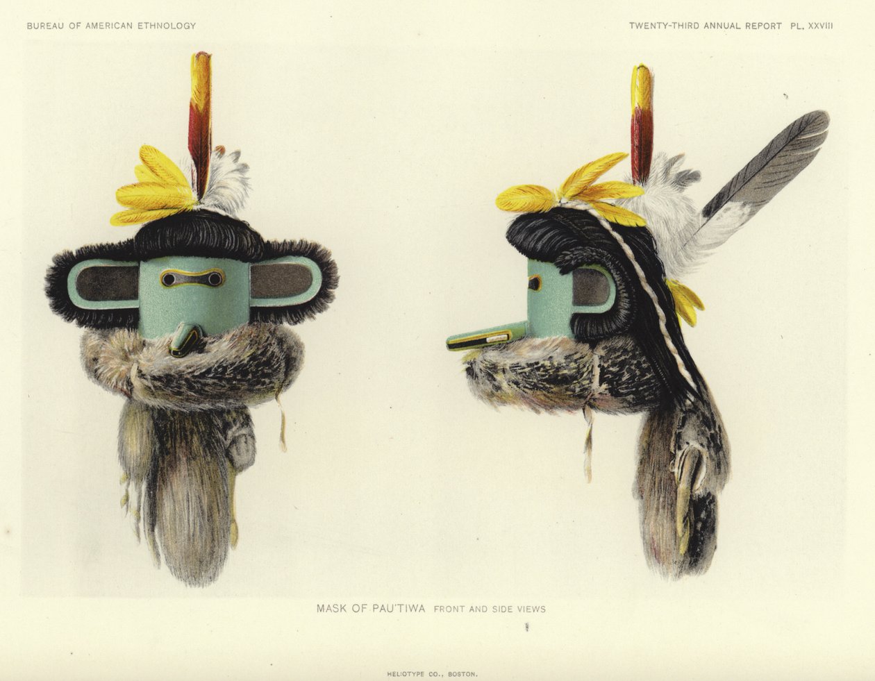 Mask of Pautiwa - front and side views by American School