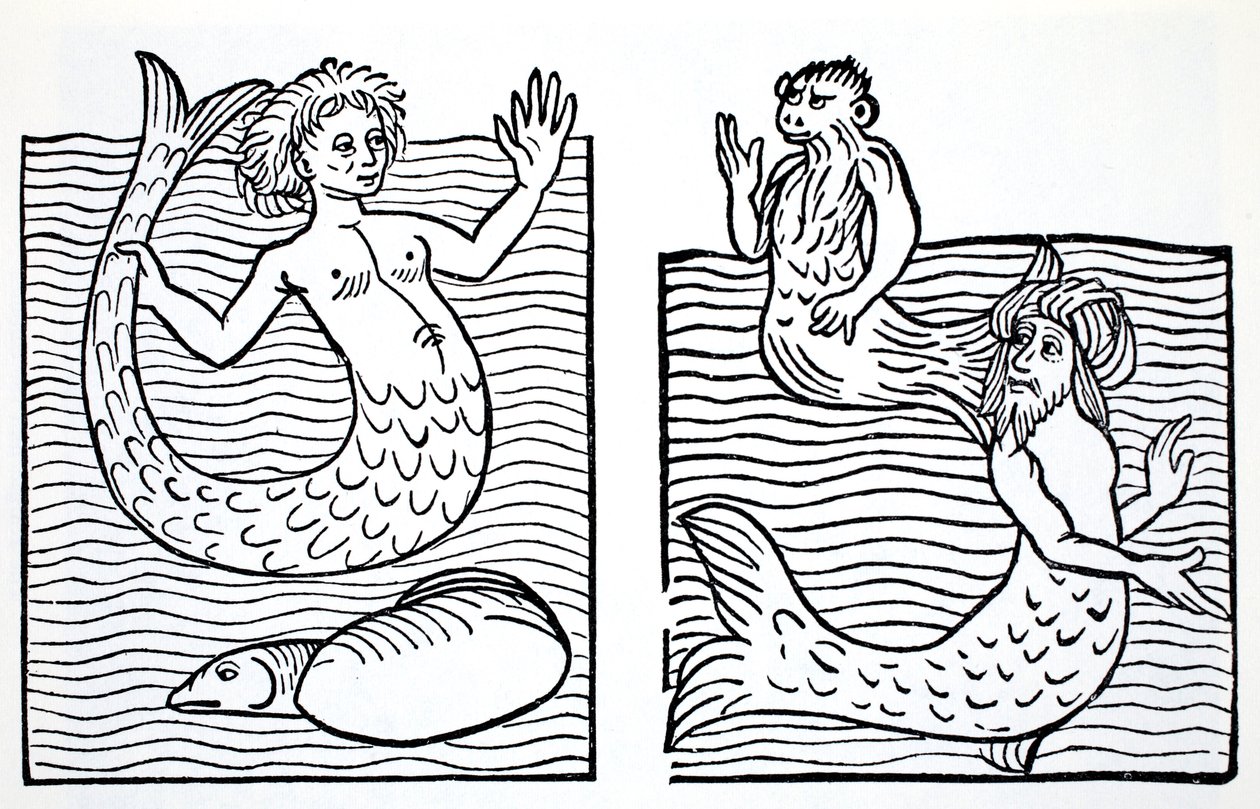Mermaids and Mermen, from The World Guide to Gnomes, Fairies, Elves and Other Little People by Thomas Keightley, Published 1880 by American School