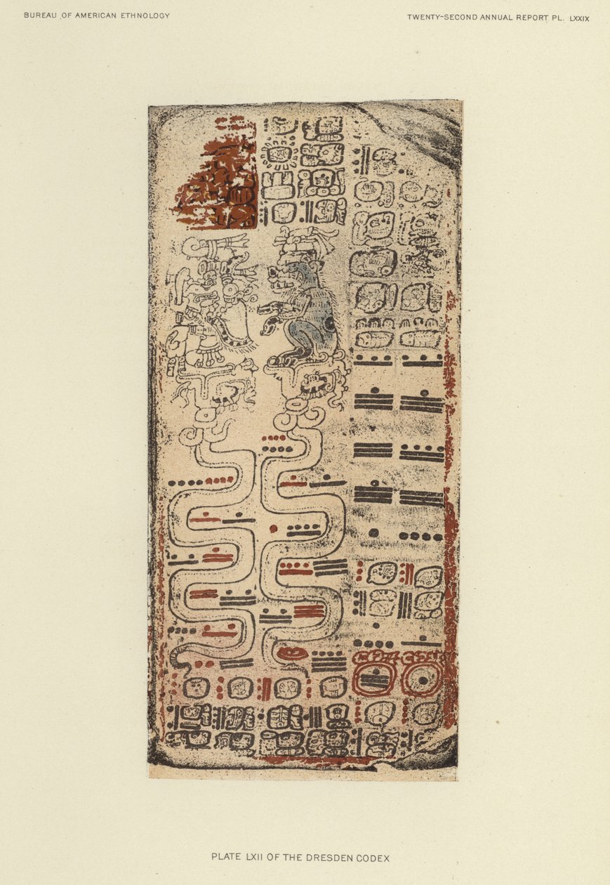 Plate LXII of the Dresden Codex by American School