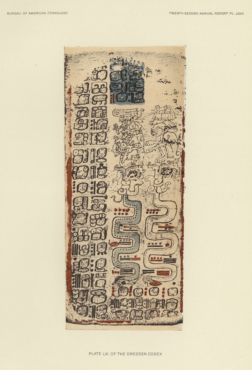 Plate LXI of the Dresden Codex by American School