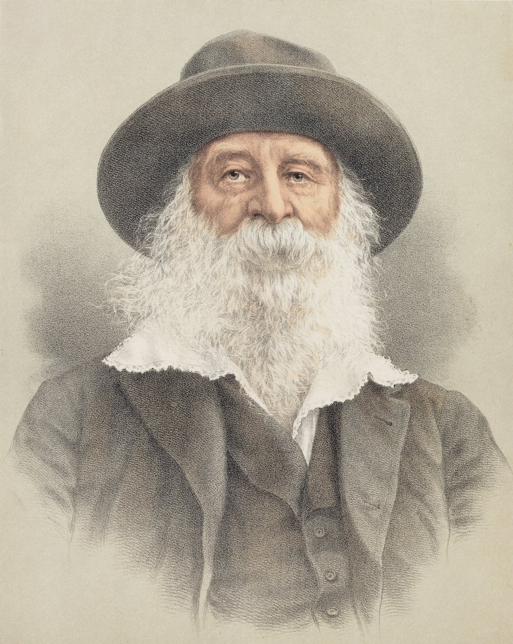Portrait of Walt Whitman by American School: Fine art print