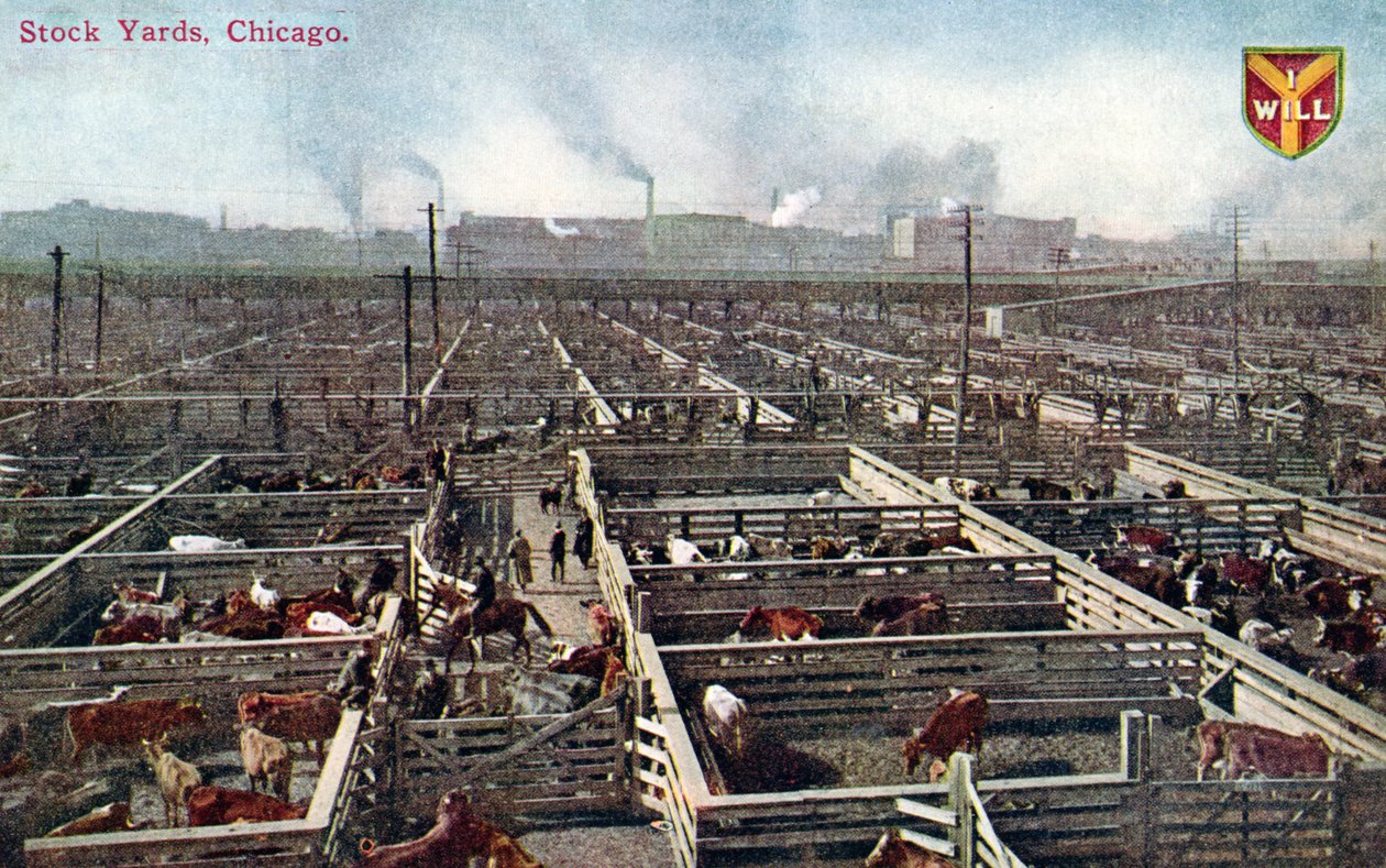 Postcard Depicting the Stock Yards and Abattoirs in Chicago, c.1910 by American School