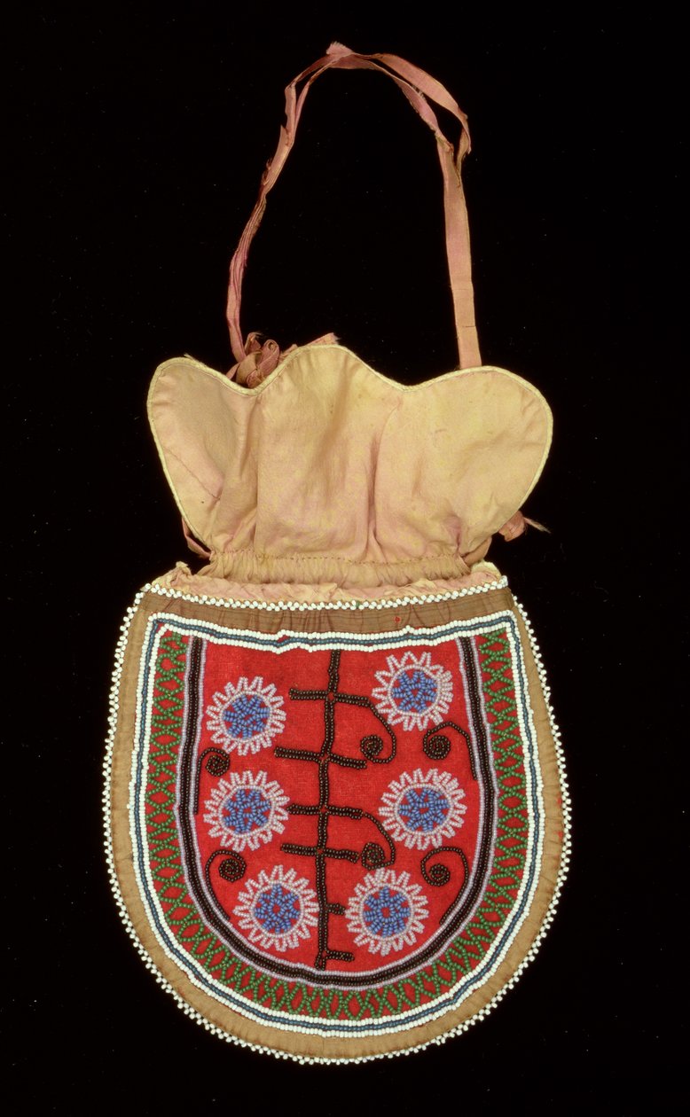 Pouch by American School