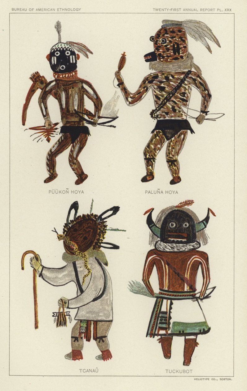 Puukon Hoya, Paluna Hoya, Tcanau, Tuckubot by American School