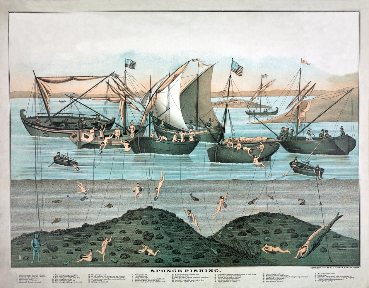 Sponge Fishing, pub. 1897 by American School