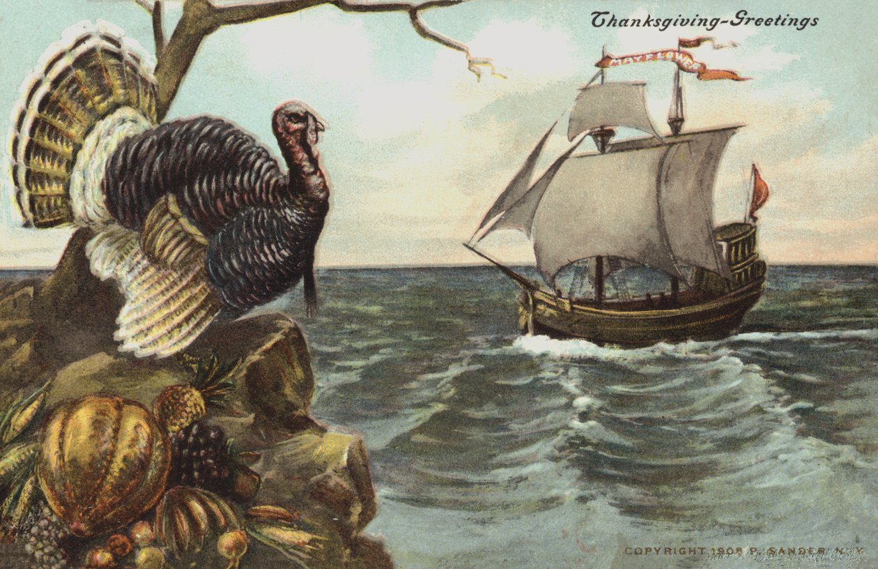 Thanksgiving Greetings Card by American School