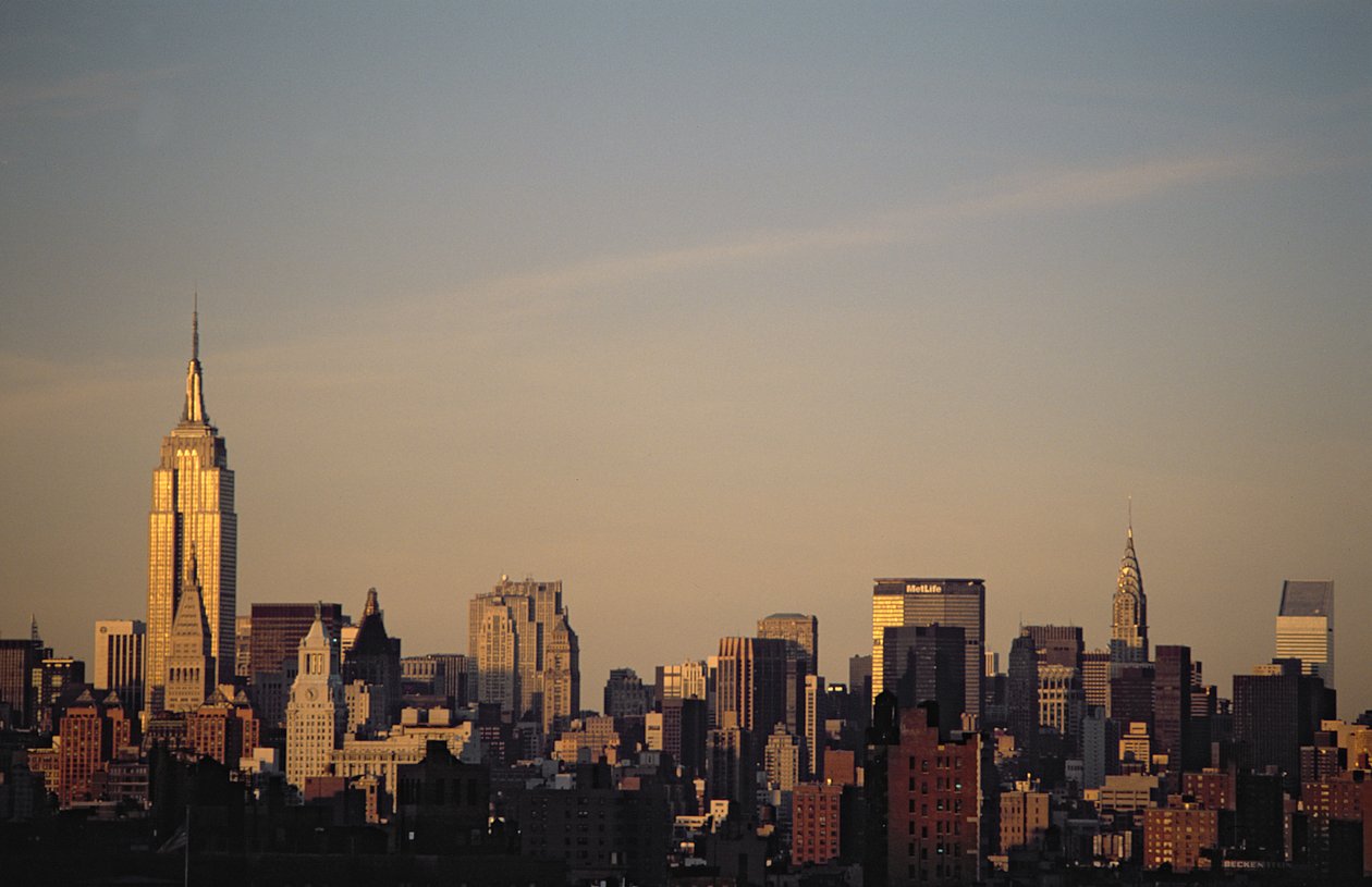 The Manhattan Skyline by American School