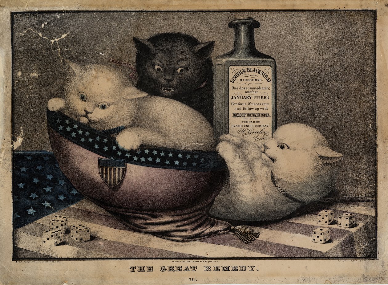 The great remedy by American School